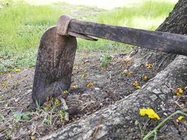 schlammige Stahlhacke auf dem Boden, landwirtschaftliches Werkzeug zum Pflanzen foto