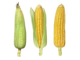 Mais lokalisiert auf weißem Hintergrund foto