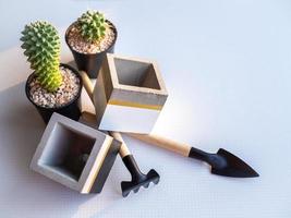 Kaktuspflanze im schwarzen Plastiktopf mit leeren modernen kubischen Betonpflanzgefäßen und Gartenwerkzeugsatz foto