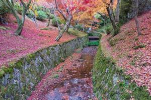 bunte blätter im garten am tofukuji-tempel, wahrzeichen und berühmt für touristenattraktionen in kyoto, japan. herbstlaubsaison, urlaubs- und reisekonzept foto