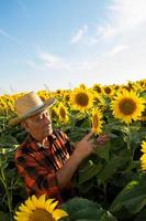 älterer Landwirt in einem Feld, das Ernte untersucht foto