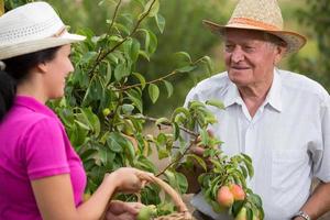 Frau hilft einem älteren Mann im Obstgarten