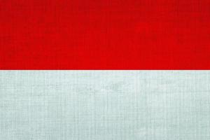die nationalflagge baumwolle in indonesien foto