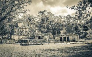 alte Maya-Stätte mit Tempelruinen Pyramidenartefakten Muyil Mexiko. foto