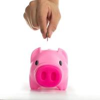 Sparschwein erhöht Ihre Finanzen wächst