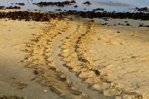 Fußspuren im Sand am Ufer des Mittelmeers im Norden Israels foto