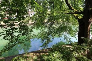 Der Fluss Ljubljanica fließt durch die slowenische Hauptstadt Ljubljana. foto