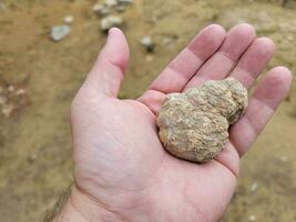 Hand, die ein geodisches Gesteinsgeologie-Exemplar mit Schmutz hält foto