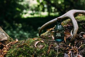 glasflaschen sind mit magischen zutaten, trank gefüllt. geheimnisvoller Wald. foto
