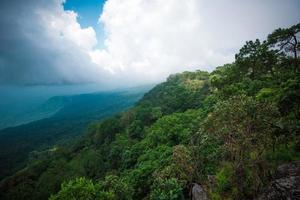 der walddschungel mit baum auf der bergklippe landschaft szenische aussicht natur und regenwolken der sturm foto