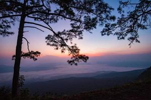 schöner sonnenaufgang lila himmel auf draufsicht hügel berg klippe und zweig silhouette kiefer landschaft mit nebel nebel foto