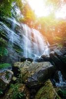 dschungel schöner wasserfall gebirgsfluss bachlauf landschaft wasserfall grüner wald natur pflanze baum regenwald mit rock foto