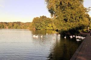 ein blick auf den ellesmere lake in der abendsonne foto