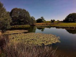 ein blick auf die landschaft von shropshire in der nähe von kirche stretton foto