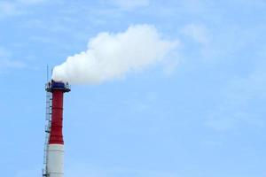 Pflanzenrohr mit Rauch gegen den blauen Himmel foto