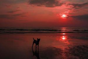 bösartiger Sonnenaufgang zum Sonnenuntergang roter Himmel am Meer. foto
