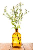Kräutermedizin-Konzept - Flasche mit Kamille auf Holztisch