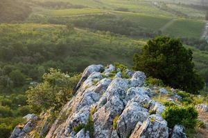 Weinberge in einem Bergtal. Sicht von oben. foto