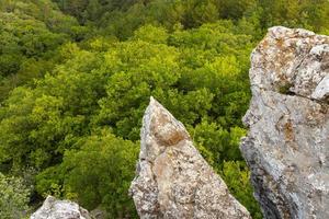 graue wilde Felsen und wilder grüner Wald. Sicht von oben. Landschaft. foto