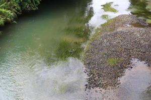 Fluss mit Algen foto