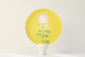3D-Darstellung der Bitcoin-Anlage im bargeldlosen Konzept. Minimale Pastellszene. Wachstumsfinanzierungsmodell. Defi-Krypto-Konzept. Investitionsmanagement foto