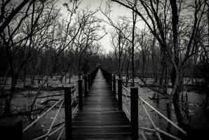 Silhouette einer Holzbrücke mit weißem Seilzaun im Wald. Äste von Bäumen im kalten Wald mit grauem Himmelshintergrund in Schwarz-Weiß-Ton. Verzweiflung und hoffnungsloses Konzept foto
