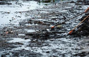 Freiwillige benutzen den Rechen, um den Müll aus dem Meer zu fegen. strandreiniger, der müll am meeresstrand sammelt. Müll am Strand aufräumen. Umweltverschmutzung am Strand. Plastik am schmutzigen Ufer. foto