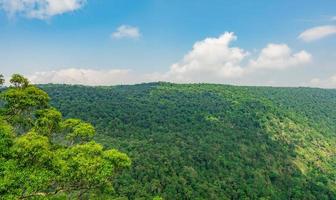 schöne aussicht auf den tropischen regenwald an den klippen von pha diao dai im khao yai nationalpark in thailand. Weltkulturerbe. grüne dichte hohe Bäume auf dem Berg und blauer Himmel und Kumuluswolken. foto