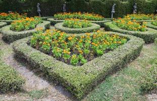 herzförmiges Labyrinth foto