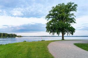 abendliche ruhige Szene eines einsamen Baumes, der am Rand des Landes vor dem riesigen See steht foto