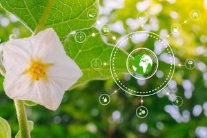 ESG-Icon-Konzept Umwelt und Governance in nachhaltig auf grünem Hintergrund. foto