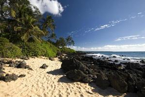 tropischer Strand mit Palmen, goldenem Sand und Vulkangestein foto