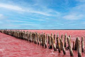 exotischer rosa salzsee und blauer himmel mit wolken. foto