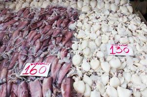 frischer Tintenfisch auf dem Markt foto