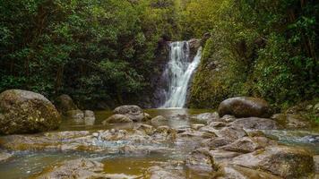 tropischer Regenwald Wasserfall Hawaii Oahu