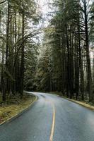 Straße im Wald foto