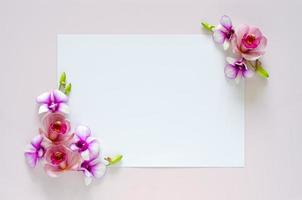 leeres weißes papier für text mit orchideenblüte von zwei kegeln auf pastellrosa hintergrund.