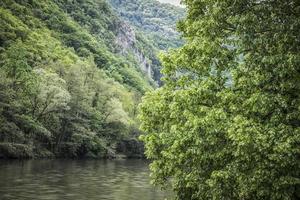 schöne natur an den ufern des westlichen flusses morava in serbien foto