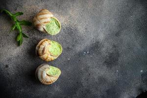 Schnecken essen bereit, frische gesunde Mahlzeit essen Snack Diät auf dem Tisch Kopie Raum Essen Hintergrund foto