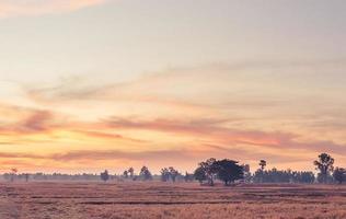 ländliche landschaft die felder bei sonnenaufgang morgens und schöner himmel foto