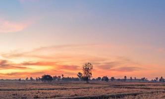 ländliche landschaft die felder bei sonnenaufgang morgens und schöner himmel foto