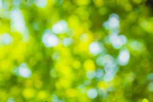 schönes natürliches grünes Blatt und abstrakter unscharfer bokeh heller Hintergrund foto