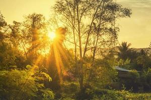 sonnenuntergangslicht durch die bäume mitten in der natur mit bergen und dorf in der provinz prachuap khiri khan, thailand foto