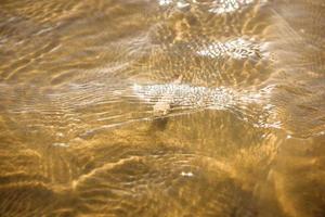 Muschel am Sandstrand und Welle auf Draufsicht foto