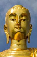 Buddha-Porträt. foto