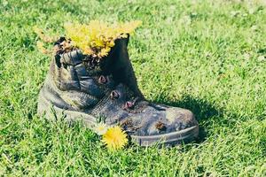 verwitterter Schuh mit Pflanzen foto