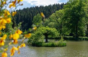 Frühlingslandschaft mit ruhigem See und Bäumen foto
