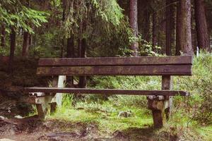 Holzbank im Wald foto