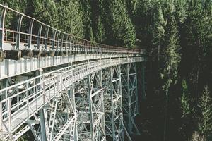 Blick auf ein Eisenbahnviadukt im Wald foto