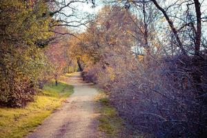 Weg im Stadtpark im Herbst foto